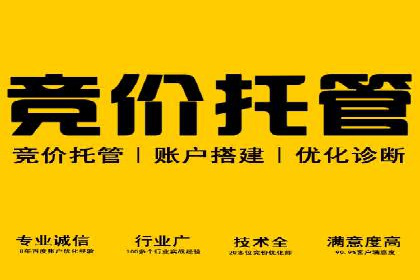 某企业SEM托管公司合作纪实：从零到一的成长之路